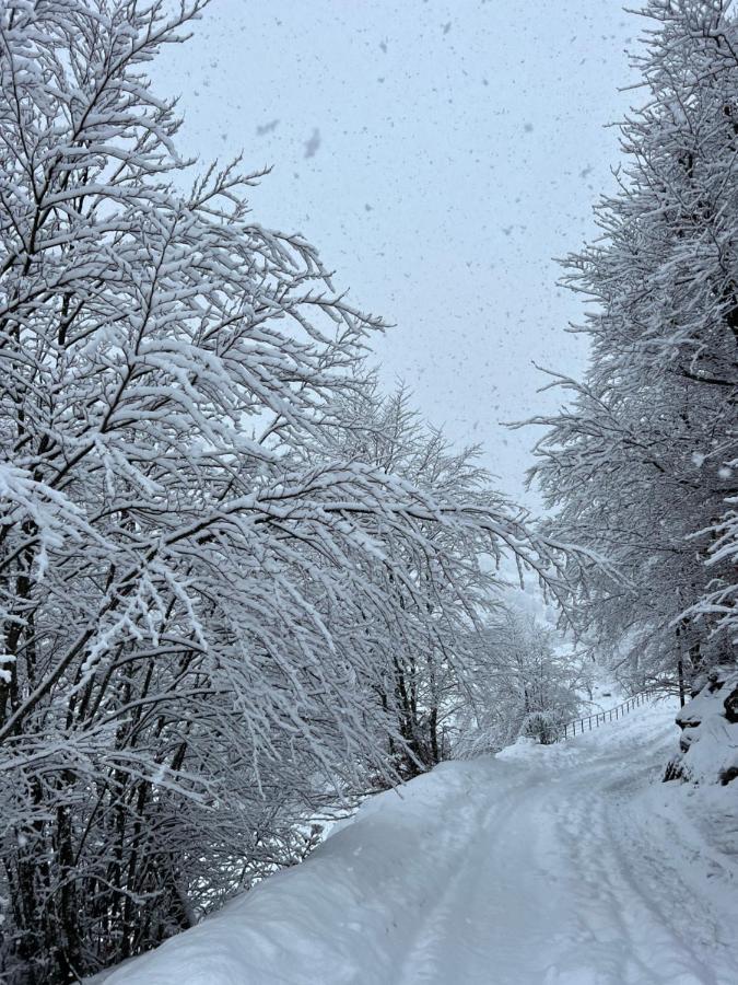 North Alpine Villas Boge Zewnętrze zdjęcie